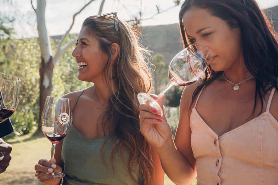 Waiheke Island: Wine Tour & Lunch at Award Winning Venue - Who This Tour Suits Best (and Who Might Want Something Else)