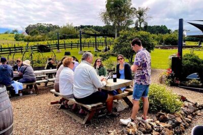 Waiheke Island Wine Tour with Scenic Vineyards & Tastings - Two tour options: standard bus for more tastings vs vintage double-decker for scenery breaks