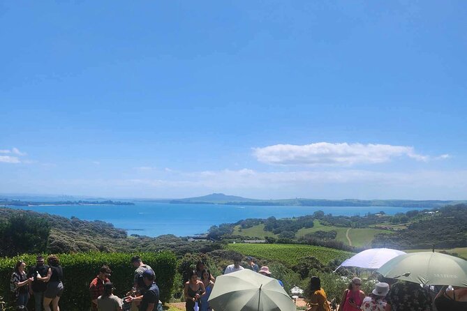 Waiheke Island Wine Tour with Tastings & Gourmet Beachfront Lunch - The Money Question: Is $186.17 Good Value Here?