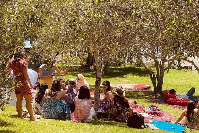 Waiheke Island Wine Tour with Tastings & Gourmet Beachfront Lunch - Three Seven Two Beachfront Lunch at Onetangi: The Break That’s Actually Scenic