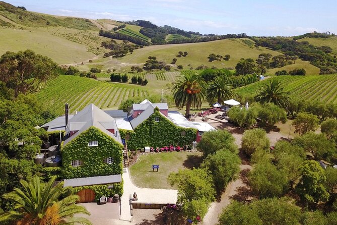 Waiheke Island Wine Tour with Tastings & Gourmet Beachfront Lunch - Stonyridge and Postage Stamp Options: Olive-Valley Wine and Sea Views
