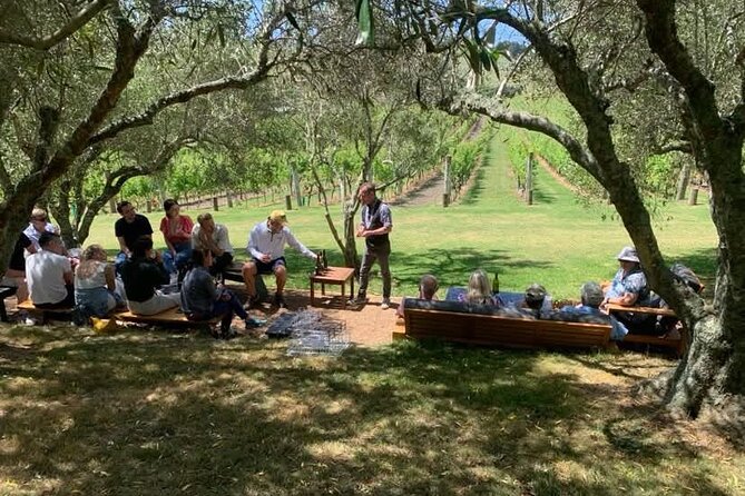 Waiheke Island Wine Tour with Tastings & Gourmet Beachfront Lunch - Who This Tour Suits Best (and Who Might Not)