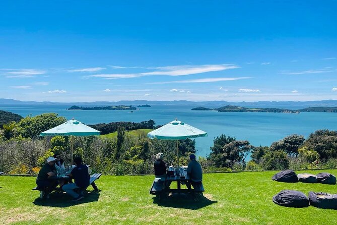 Waiheke Island Wine Tour with Tastings & Gourmet Beachfront Lunch - Price and Logistics (What You Should Know Before You Go)