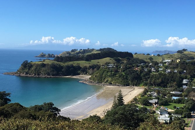 Waiheke island wine tours with Waitiki Tours - Meet Nicky: How the Small-Group Setup Changes Everything