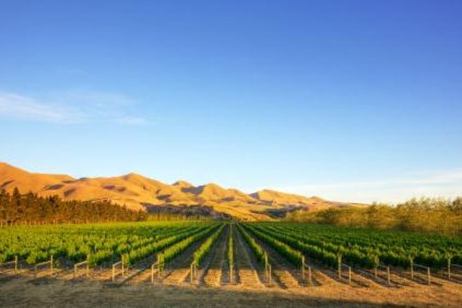 Waipara Wine Tour from Christchurch - including Lunch & Tastings - The 12:00 pm start and the 40-minute run north