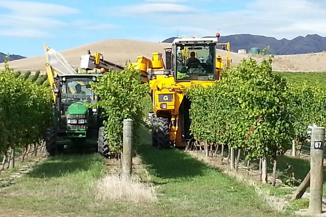 Waipara Wine Tour from Christchurch - including Lunch & Tastings - Waipara Springs: a classic in the region, great for getting oriented