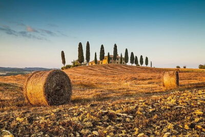 Walking Food Tour of Florence with Tastings and Wine - Walking Palates and eating beyond the tourist lane