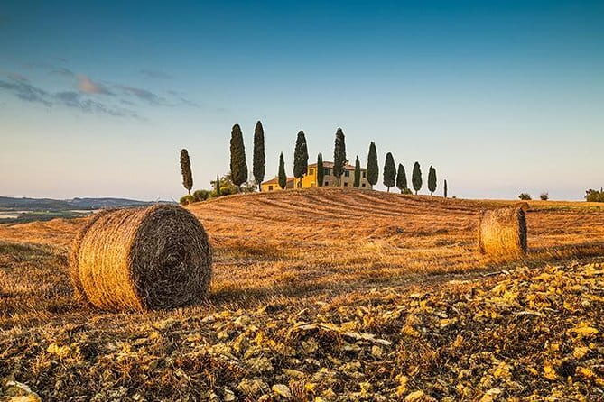Walking Food Tour of Florence with Tastings and Wine - Walking Palates and eating beyond the tourist lane