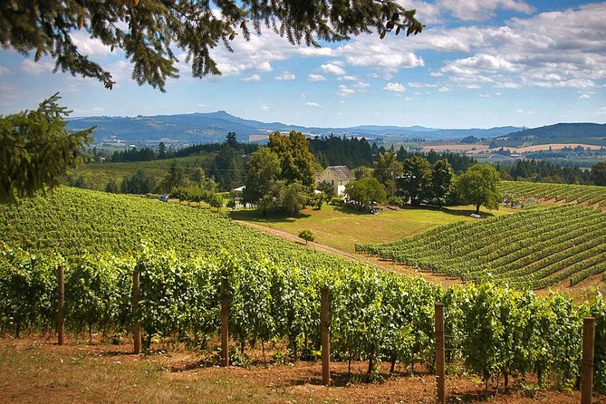 Willamette Valley Wine Tasting Tour from Portland - Key highlights at a glance
