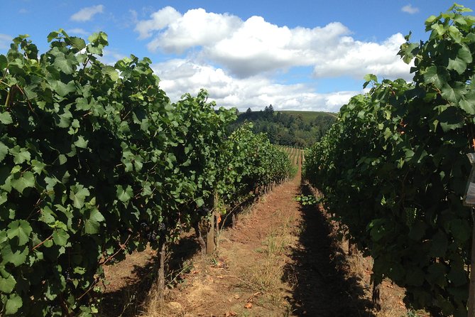 Willamette Valley Wine Tasting Tour from Portland - Wine tasting strategy: get what you want without overspending