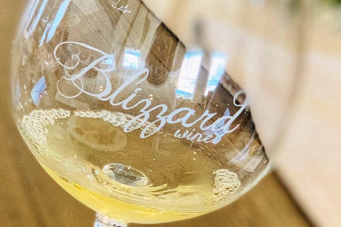 Willamette Valley Wine Tour from Portland - What the three winery stops feel like (and why they vary)
