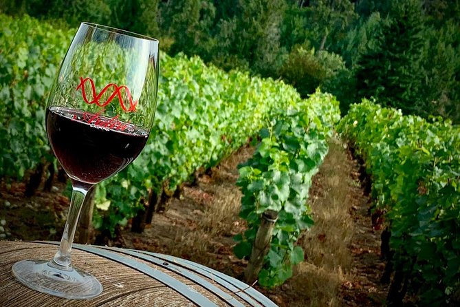 Willamette Valley Wine Tour from Portland - Potential downsides to factor in before you book