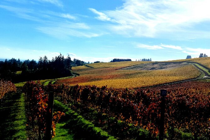 Willamette Valley Wine Tour with Lunch - Three winery tastings in one day: what to expect at each stop
