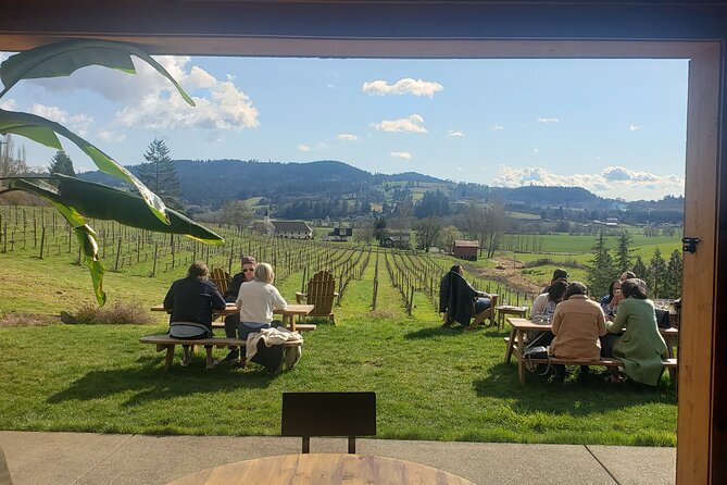 Willamette Valley Wine Tour with Lunch - The winery lunch included: picnic-style and actually useful