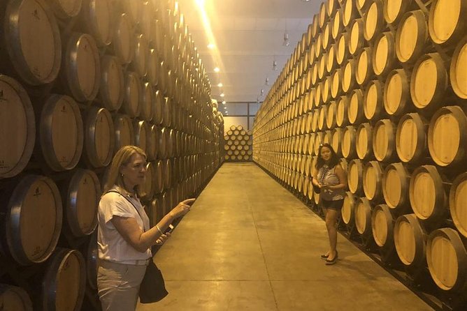 Windmills of Don Quixote Wine Tour & Tasting from Madrid - Lunch Timing: What’s Included vs What You Pay for