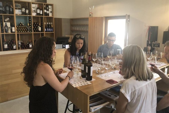 Windmills of Don Quixote Wine Tour & Tasting from Madrid - Group Size and the Guide’s Style: Why This Feels Personal