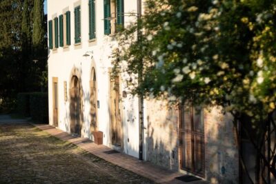 Wine and food tasting in an organic family winery - Price and logistics for a 2h45 private tasting near San Gimignano