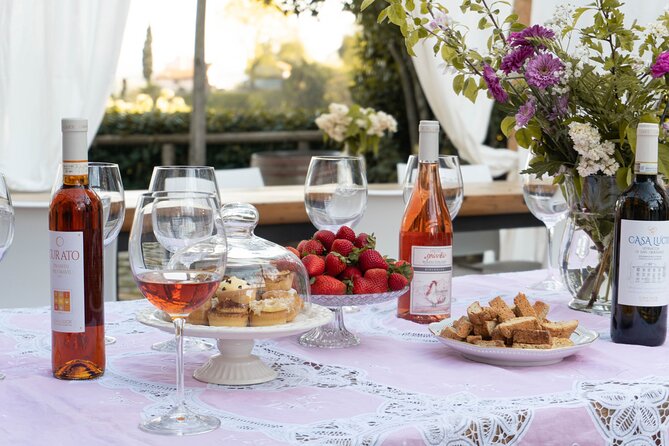 Wine and food tasting in an organic family winery - Eight organic wines plus Tuscan pairings that match