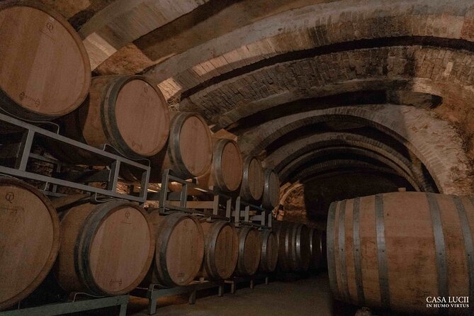 Wine and food tasting in an organic family winery - Olive oil, garden bites, and baked goods that keep the day balanced