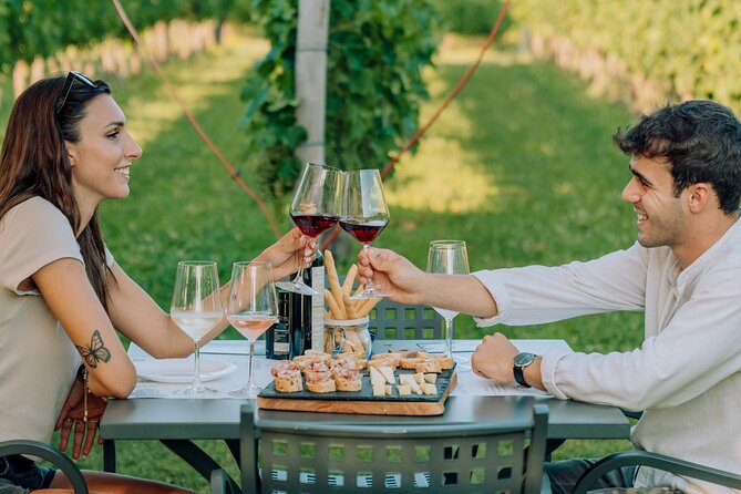 Wine and Food Tasting in the Vineyards in Lazise - Key highlights at a glance
