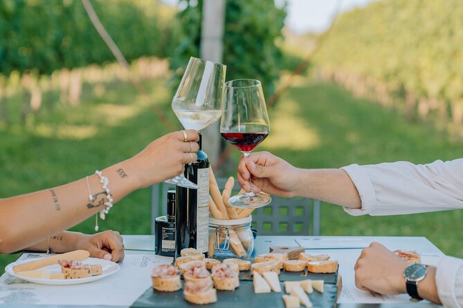Wine and Food Tasting in the Vineyards in Lazise - What the food pairing actually changes in your glass