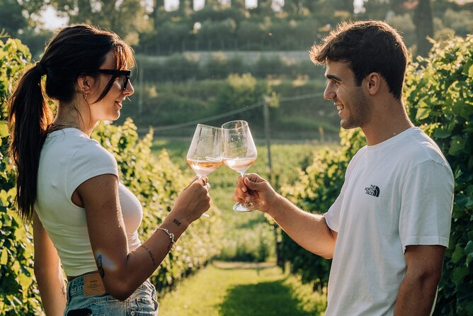 Wine and Food Tasting in the Vineyards in Lazise - Wine value and what’s actually included in the price