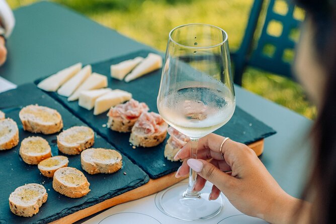 Wine and Food Tasting in the Vineyards in Lazise - Azienda Agricola Le Ginestre: vines, shade, and a family welcome