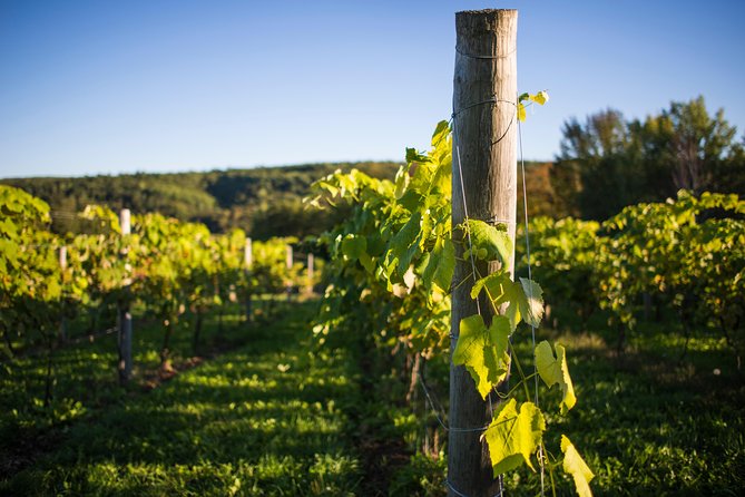 Wine and Lunch Escape - A slow drive from Halifax into Annapolis Valley wine country