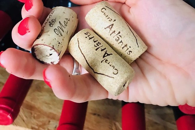 Wine, Cheese & Charcuterie Tasting, including complimentary tour - When is this wine, cheese & charcuterie tasting in Ponta Delgada?