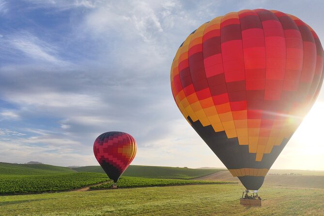 Wine Country Join-in Flight - The First Float: Sonoma Vineyards, Mayacamas Mountains, and Bay Views