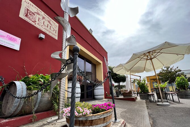 Wine Experience - The tasting menu: red, white, rosè, and then Negroamaro