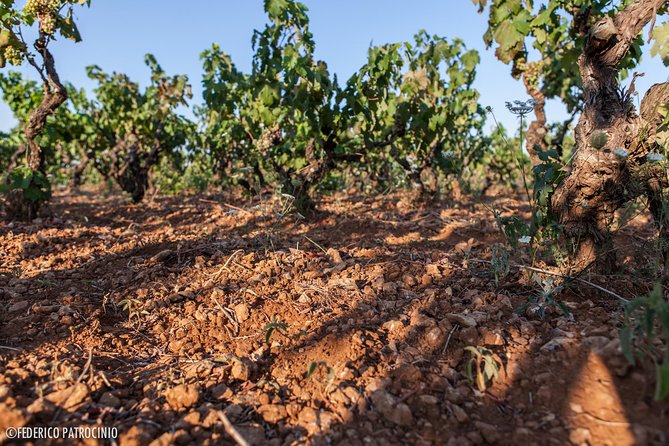 Wine Experience - How much does it cost, and what’s the value here?