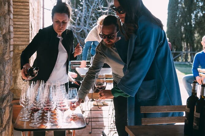 Wine Experience In Chianti Hills from Florence - Price and What You’re Actually Paying For at $49
