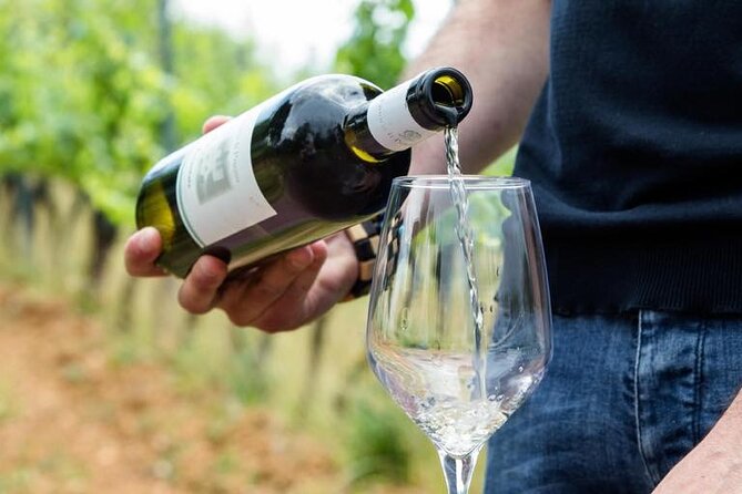 Wine Experience in farm vineyard & winery from Montecatini T. - Wine tasting that feels generous, not skimpy