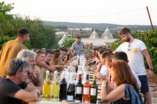 Wine Experience: vineyard, wines and food - Vineyard Walk and the Itria Valley Wine Story You Can Follow