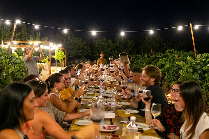 Wine Experience: vineyard, wines and food - Outdoors Over the Valley, or Indoors in the Stone Tavern