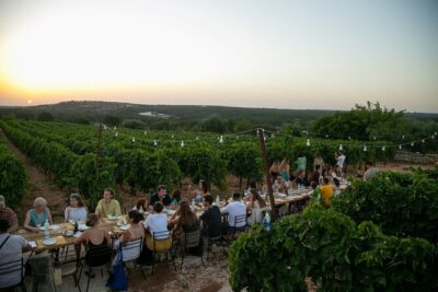 Wine Experience: vineyard, wines and food - Four Wines, One Tasting Flow (and Not a Numbers Game)