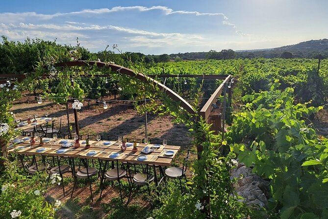 Wine Experience: vineyard, wines and food - Price and Time: Solid Value for a Real Vineyard Evening