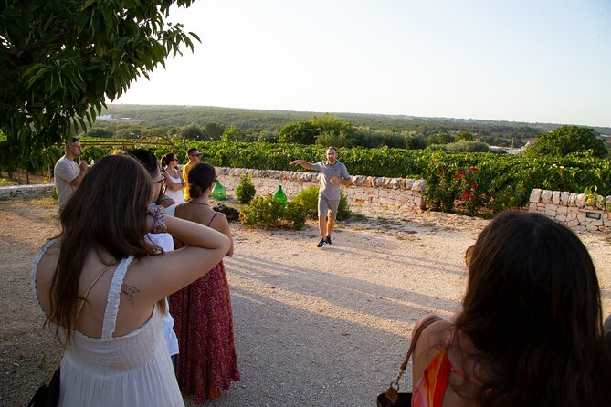 Wine Experience: vineyard, wines and food - Getting There: Martina Franca Meeting Point and a Smart Evening Plan