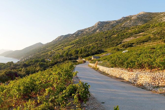 Wine Lover's Tour of Peljesac Peninsula - Pickup, timing, and how the day usually runs