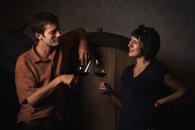 Wine Lover's Tour of Peljesac Peninsula - Between wineries: the Peljesac drive is part of the show