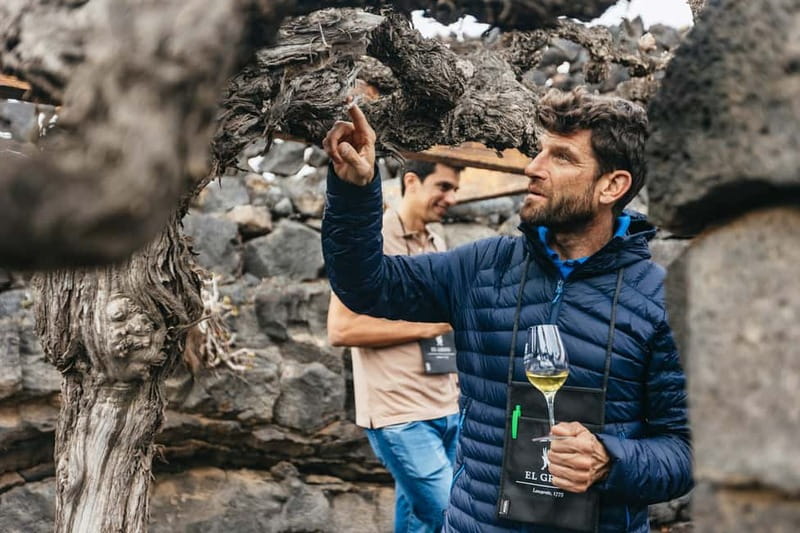Wine Lovers: Wine Tasting Tour at El Grifo Bodega Lanzarote - First Stop: Why El Grifo Feels Different in Lanzarote