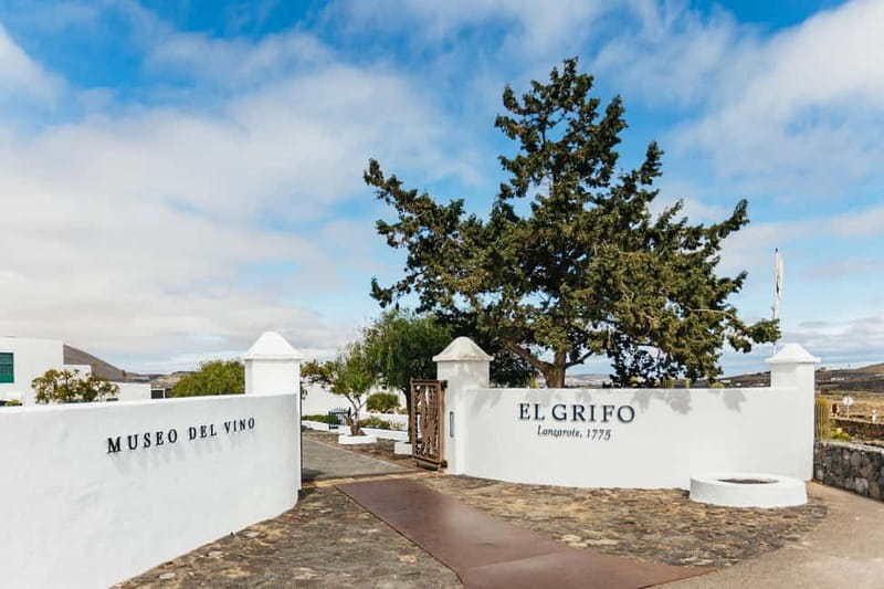 Wine Lovers: Wine Tasting Tour at El Grifo Bodega Lanzarote - What the Tour Includes (and What It Doesn’t)