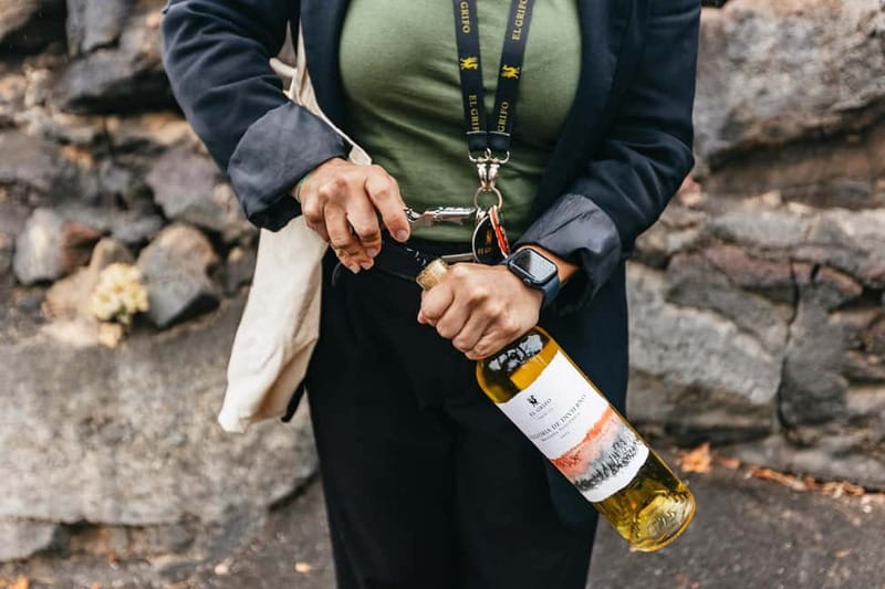 Wine Lovers: Wine Tasting Tour at El Grifo Bodega Lanzarote - Should You Book the El Grifo Wine Tasting Tour?