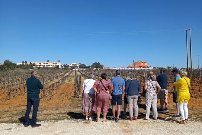 Wine Lovers: Winery Tour w/ Tasting & Tapas (Albufeira/Vilamoura) - Local firewater and custard tart moments