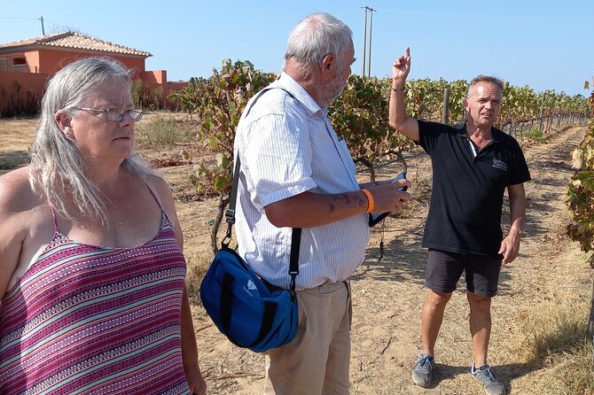 Wine Lovers: Winery Tour w/ Tasting & Tapas (Albufeira/Vilamoura) - The wine and tapas pairing: four glasses, charcuterie, and a few real-world caveats