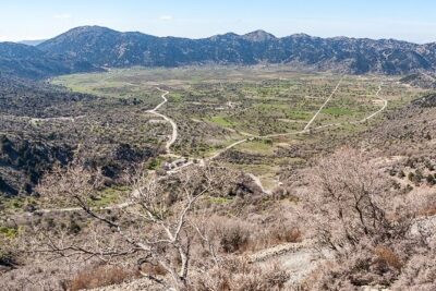 Wine & Olive Oil Tour with lunch at the White Mountains - Vouves Olive Tree Museum: 3,000 years and still going