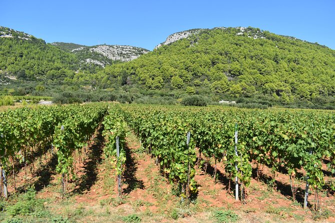 Wine & Sightseeing Tour Korcula - Key Points I’d Plan Around