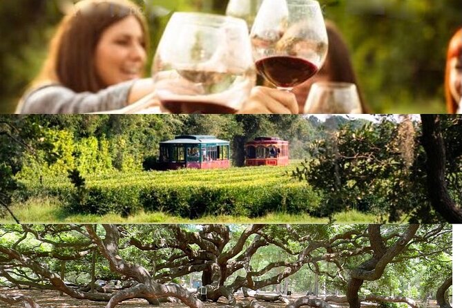 Wine Sippin'-Tea Drinkin'-Tree Huggin' Lowcountry Sightseeing - Key highlights worth penciling in