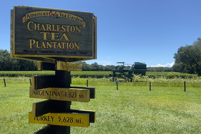 Wine Sippin'-Tea Drinkin'-Tree Huggin' Lowcountry Sightseeing - Stop 2: Charleston Tea Garden and the trolley ride